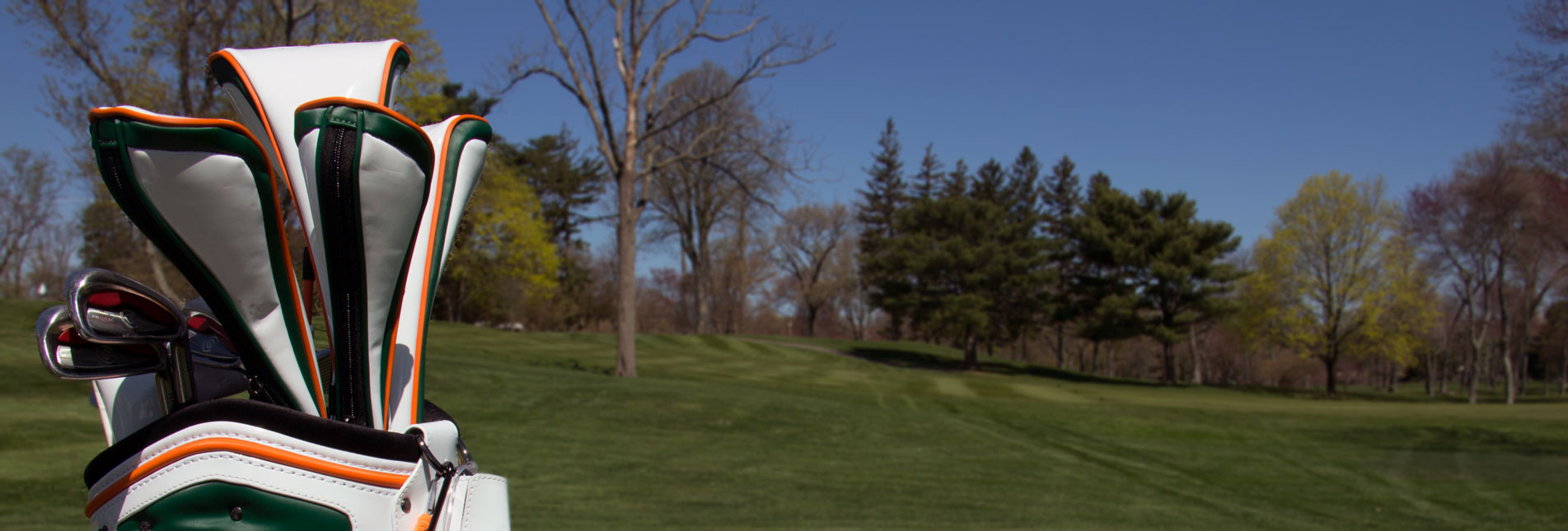 Home (Custom Golf Events)